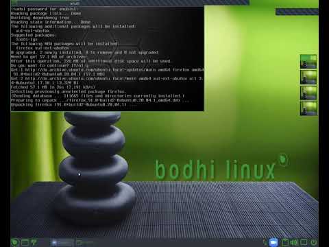 How Linux users install a browser (Bodhi Linux)