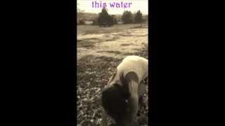 Drown-Carolina Liar (Lyrics)