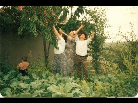 Evlerinin Önü Yonca - Manuş Baba