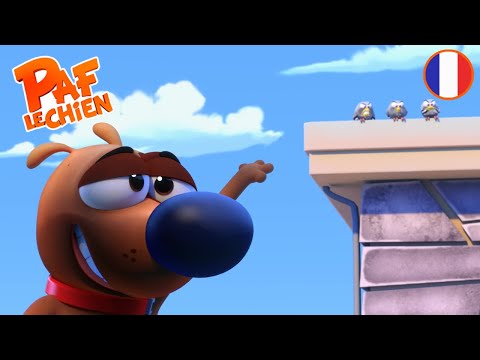 🐕‍🦺 Paf le Chien : Ep76 - L'Arbre à chat | EPISODE COMPLET