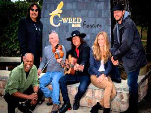 C Weed Band   Fiddle Jig Medley