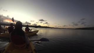 preview picture of video 'Fajardo, Puerto Rico - Kayaking Bioluminescent Bay HD (2015)'