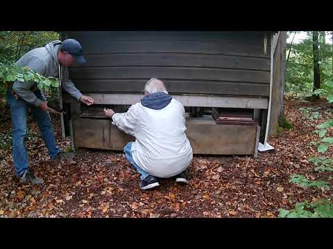 Einwinterung der Drohnenvölker auf der Belegstelle Spessart