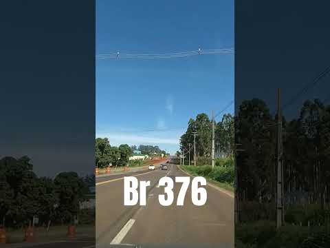 APUCARANA  PARANÁ  .