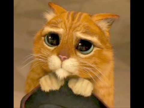 Liber feat Marian -Oczy chcą