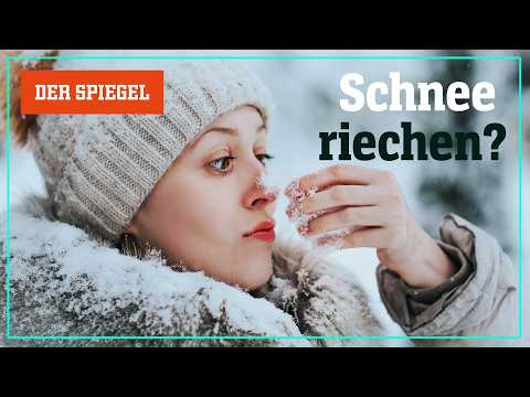 Video Thumbnail: Warum der Wintereinbruch den Geruchssinn triggert – Shortcut | DER SPIEGEL