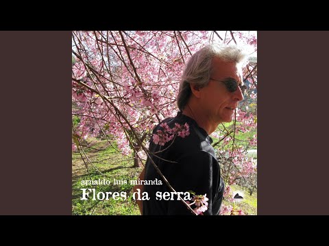 Amis De Chambre video