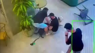 Dog attack inside Miami coffee shop caught on camera