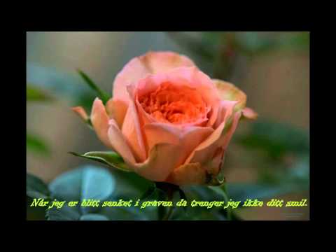 Gi meg en blomst mens jeg lever