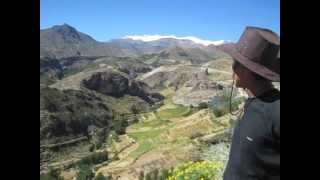 preview picture of video 'Trekking a la Cordillera Del Barroso TACNA'