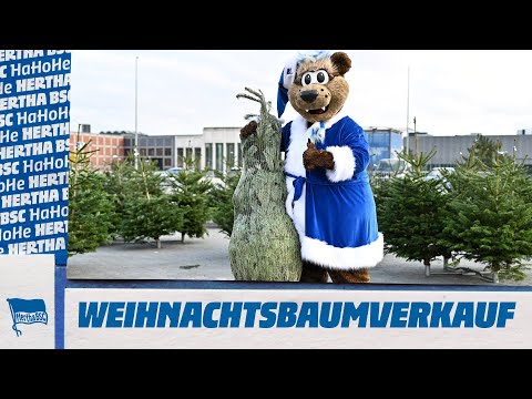 Herthaner helfen: Weihnachtsbaum kaufen und Gutes tun | Hertha BSC