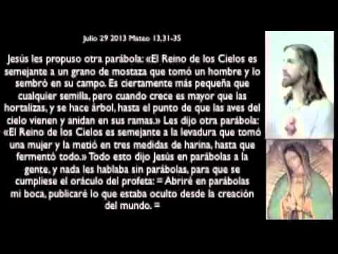 Evangelio julio 29 2013