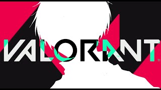 【VALORANT】キル集2