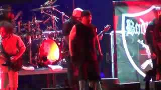 Body Count - Necessary Evil (live Rock Im Park 2015-06-06)