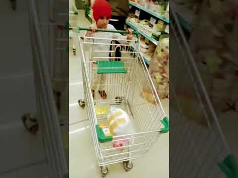 SHOPPING #shorts #ytshorts #youtubeshorts #youtube #viral #viralshorts #viralvideo #india #ytshort