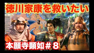 【信長の野望新生】本願寺顕如＃８   徳川家康を従属させるべく、織田領土を割譲せよ！