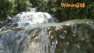 Download lagu Lagu lemon'nipis anak piatu (bahasa Nafri) mp3 Download lagu Lagu lemon'nipis anak piatu (bahasa Nafri) mp3