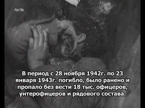 Дания во Второй мировой войне, на стороне вермахта Freikorps Danmark - В Демянском котле