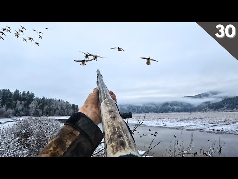 TINY Warm Water CREEK Duck Hunting | Best Decoying MALLARDS Of The Season