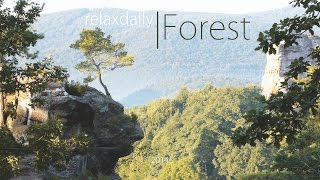 Download lagu Light Easy Listening Music - relaxing, peaceful, smooth music mp3