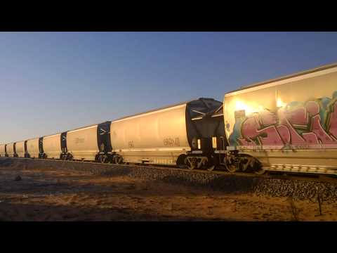 CBH005CBH010Narngulu