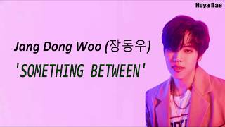 Jang Dong Woo (장동우) Something between [HAN/ROM/ENG] Lyrics