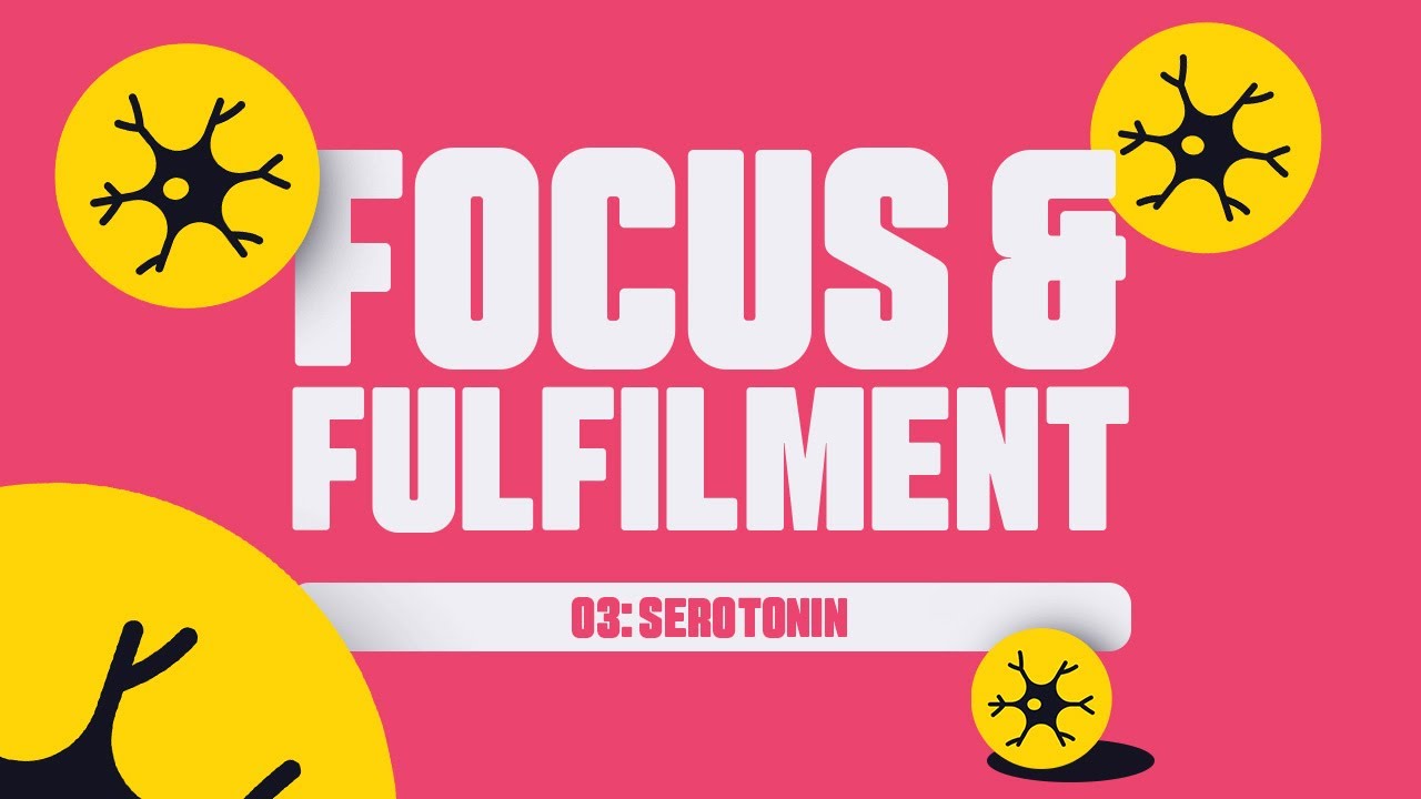 The Neurochemistry of Focus & Fulfilment Chapter 3: Serotonin