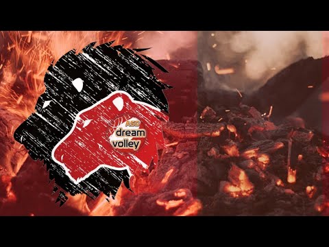 GARA 3° DIVISIONE DREAM VOLLEY vs VOLLEY BRIANZA EST