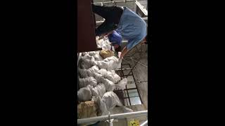 Ringlock Steel Plank Live Experiment for fun?