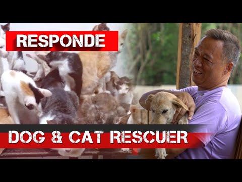 Dog & cat rescuer RESPONDE
