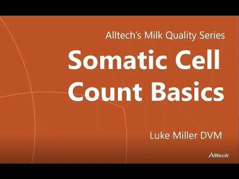 Alltech's Milk Quality Series: SCC