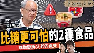 【健康】比糖更可怕的2種食品！食安權威揭：世界衛生組織認定是致癌物！ft. 文長安老師｜下班經濟學645｜謝哲青、張瓊方