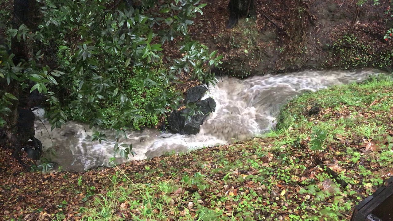 Heavy Rainfall in the East Bay