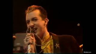 [VHS-V8-1986] Marc Almond Live ~ Love &amp; Little White Lies