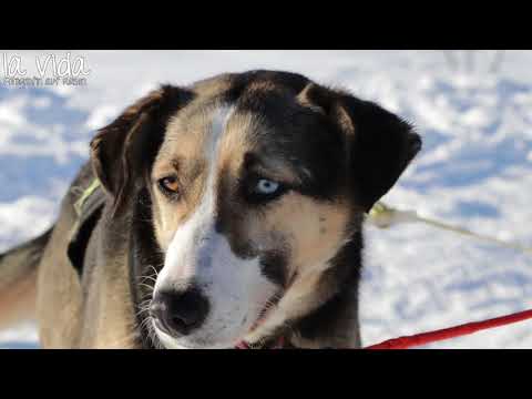 "Winter im hohen Norden" mit AIDAcara im Februar/März 2017