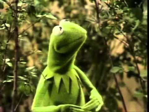 Muppets - Kermit - Its not easy being green (original)