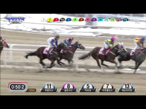 Segye Ilbo Cup 2013 - Indian Blue