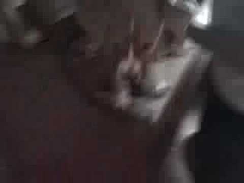 Lilo plays the piano. AGAIN!