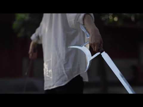 martial arts demonstration tiger hook swords form