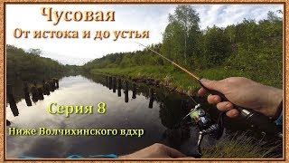 Ссылка