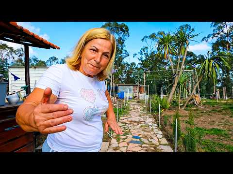 Compramos este terreno e estamos a mudar tudo!