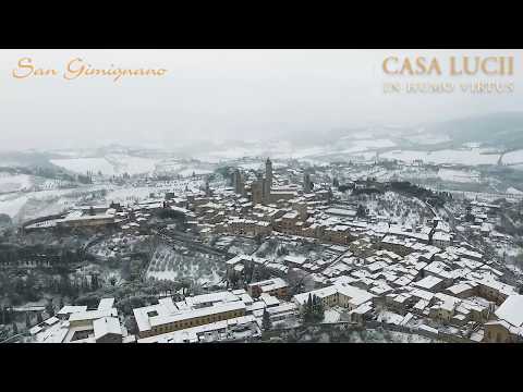 Winter in Tuscany - vineyard drone tour