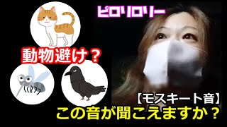 【実録】この音が聞こえますか？（モスキート音）