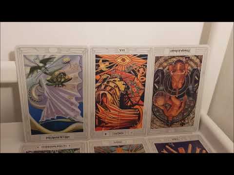 Wunschpartner Orakel Kollektiv Aktuell (mit Musik💗)