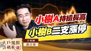 小樹A持續長高 小樹B二支漲停 (圖)