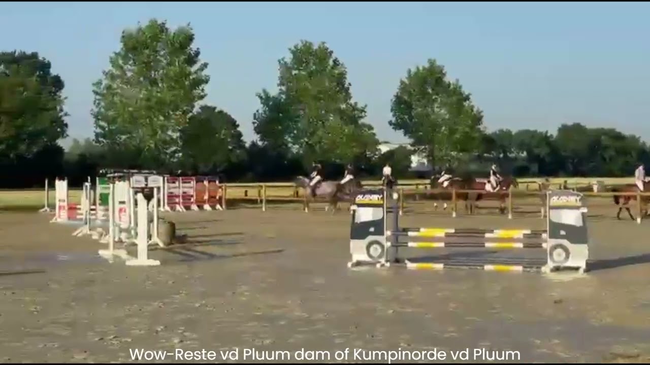 Kumpinorde van de Pluum ☆ (KOOL BLUE x WILFRED) video 2