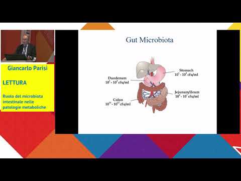 Ruolo del microbiota intestinale nelle patologie metaboliche