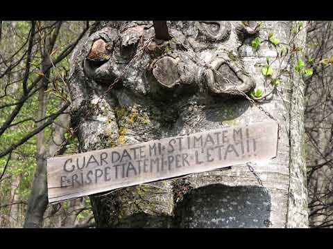 Lemine e dintorni: Brumano