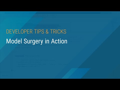 Model Surgery in Action