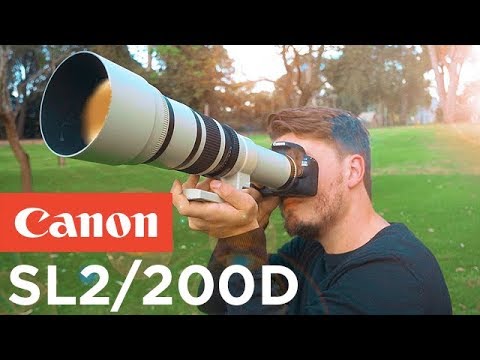 Canon SL2/200D Review - The Best Beginner DSLR For 2018!